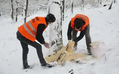 Atakum’dan 42 farklı noktada kuşlara yem

