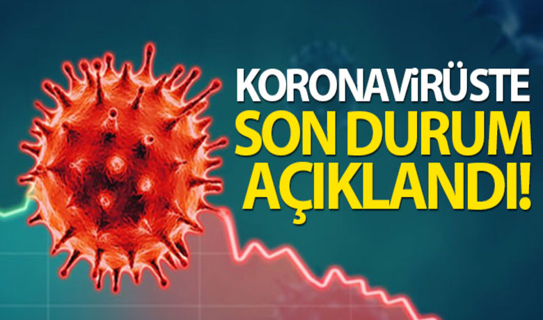 Türkiye'de son 24 saatte6.435 koronavirüs vakası tespit edildi - Sağlık Bakanlığı, son 24 saatte 159 kişinin korona virüsten hayatını kaybettiğini, 6 bin 435 yeni vaka sayısının olduğu açıkladı.