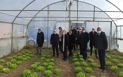 Vali Dağlı Bafra’da incelemelerde bulundu