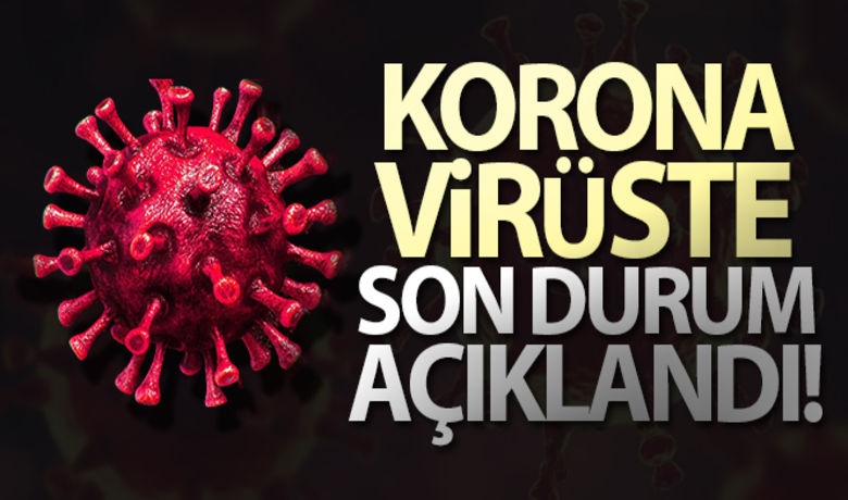 Son 24 saatte koronavirüsten 153 kişi hayatını kaybetti - Sağlık Bakanlığı, son 24 saatte 153 kişinin korona virüsten hayatını kaybettiğini, 6 bin 435 yeni vaka sayısının olduğunu açıkladı.