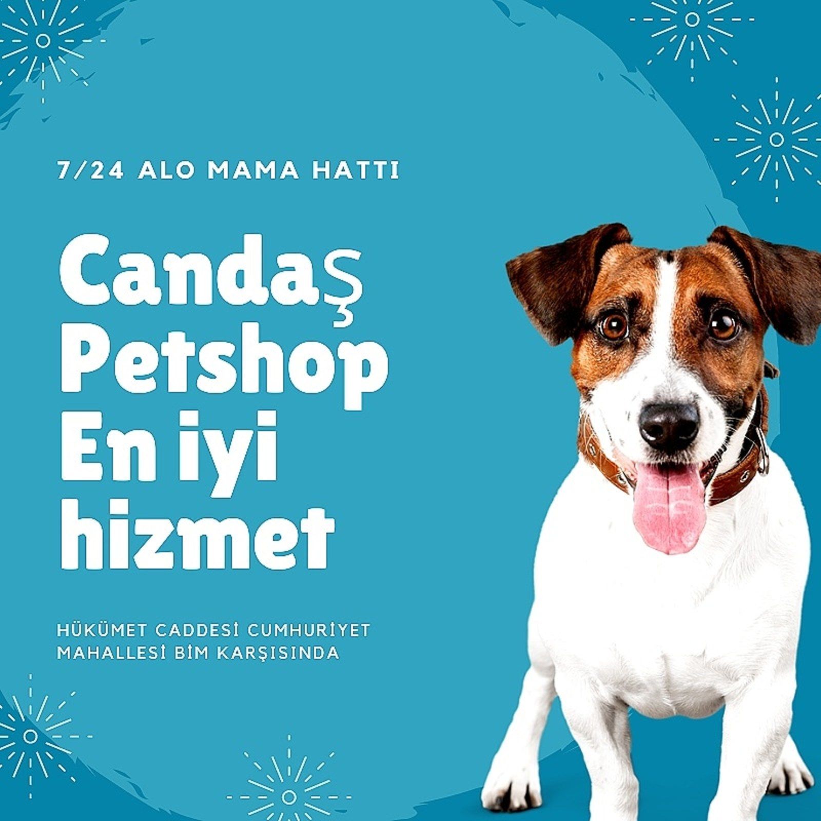 Candas petshop tan alo mama hatti 03c78d12