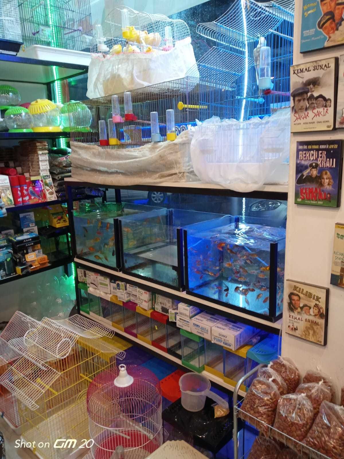 Candas petshop tan alo mama hatti 27e3e1d9