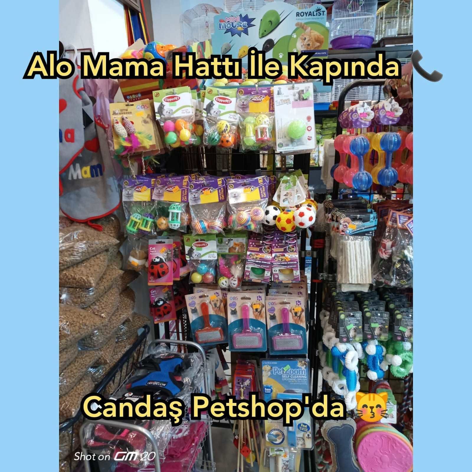 Candas petshop tan alo mama hatti 3994e4f1