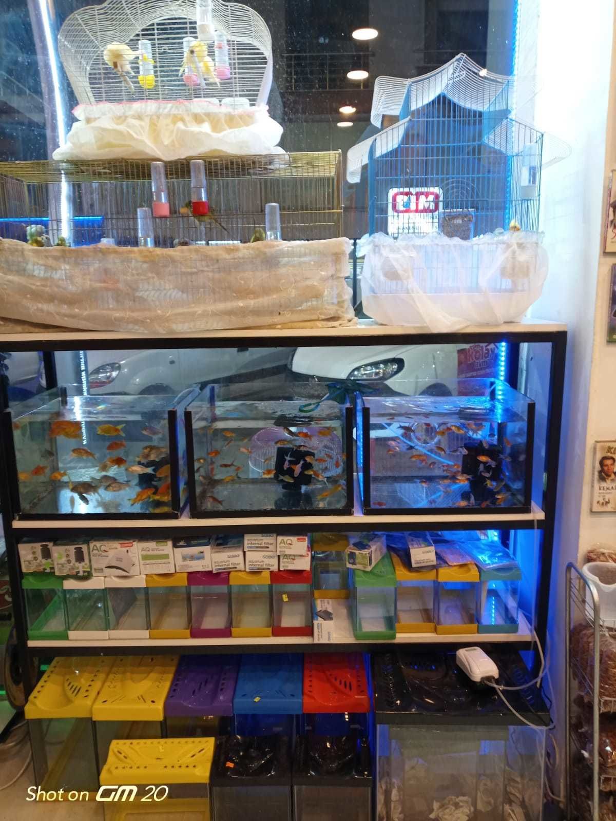 Candas petshop tan alo mama hatti 53f87a4b