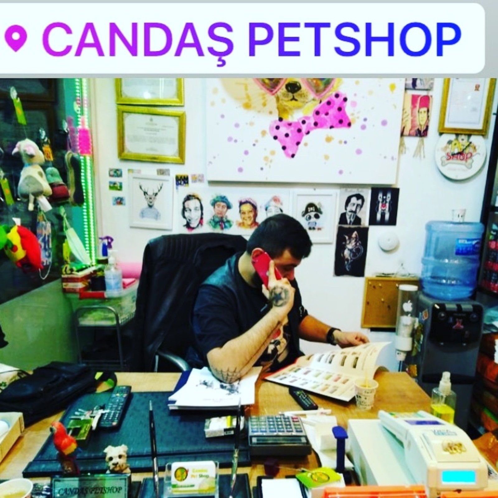 Candas petshop tan alo mama hatti 7bc91905