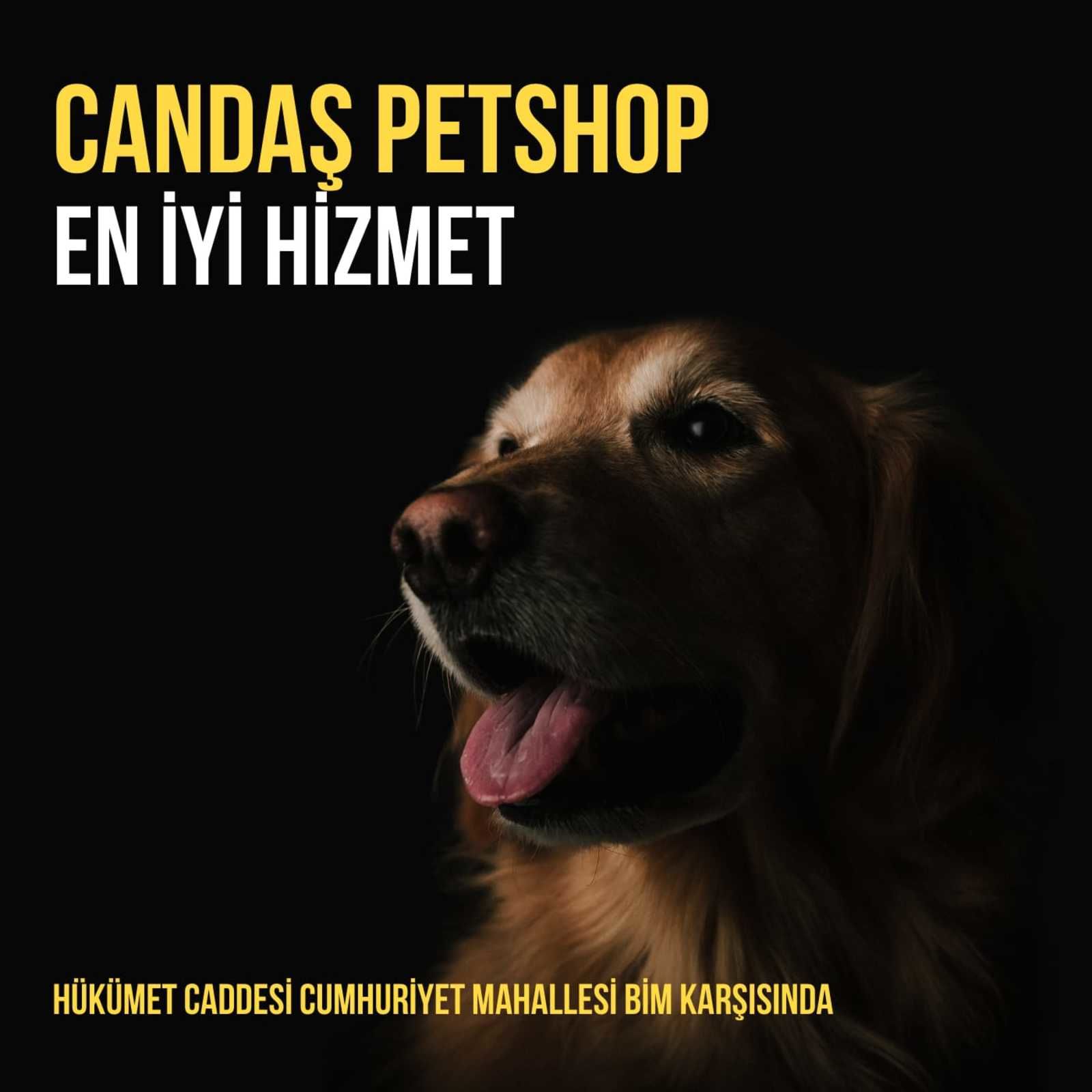 Candas petshop tan alo mama hatti b21b9fdd