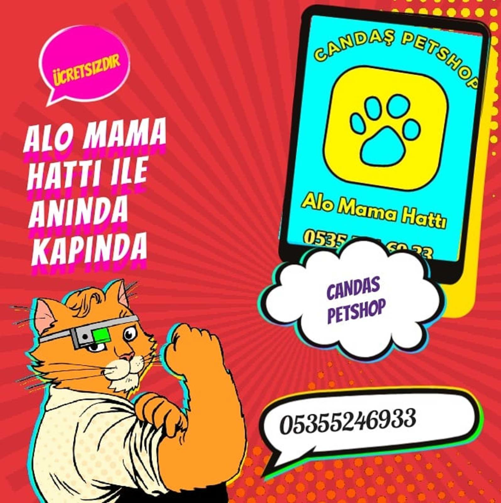 Candas petshop tan alo mama hatti fe69ead9