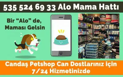 Candaş Petshop’tan Alo Mama Hattı 