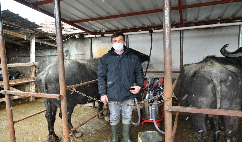 Süt üreticilerin yüzü güldü - Samsun Büyükşehir Belediyesi’nin Manda Islah Projesi kapsamında dağıttığı otomatik sağım makineleri ve soğutma tankları süt üreticilerinin yüzünü güldürdü.