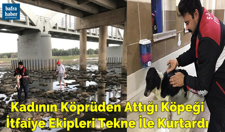 Kadının Köprüye Attığı Köpeği İtfaiye Ekipleri Tekne İle Kurtardı
