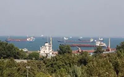 Samsun’dan Uzak Doğu ve Arabistan yarımadasına deniz salyangozu ihracatı
