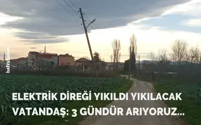 Ağaç Elektrik Direği Yıkıldı Yıkılacak
