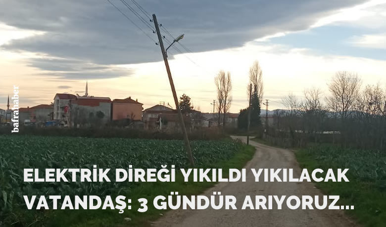 Ağaç Elektrik Direği Yıkıldı Yıkılacak