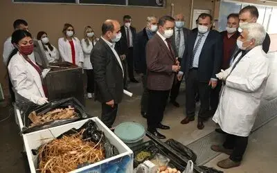 Atakum’da günde 1,5 ton atık, mama ve gübreye dönüşecek
