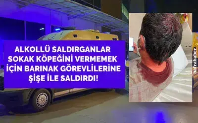 Alkollü Saldırgan Köpek Sahipleri Barınak Görevlilerine Şişe İle Saldırdı
