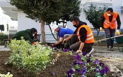 Atakum Belediyesi kendi serasında 200 bin çiçek ve çalı üretti
