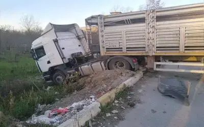 Tır dehşeti: 4 yaralı
