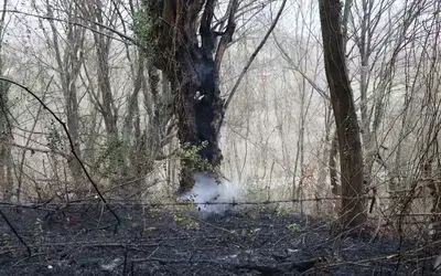 Samsun’da ormanlık alanda yangın
