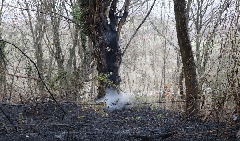 Samsun’da ormanlık alanda yangın
 - Samsun’un Tekkeköy ilçesinde meydana gelen orman yangınında 10 dönümlük alan zarar gördü.