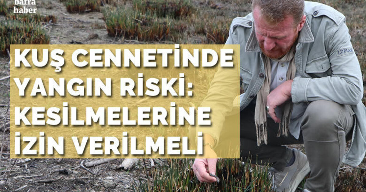 Yangında büyük zarar gören ’Kuş Cenneti’nde büyük risk