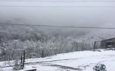 Çarşamba’da kar yağışı
