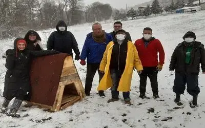 Soğuk havaya aldırış etmeden hayvanlara kulübe bıraktılar
