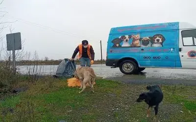 Bafra’da sokak hayvanları unutulmadı