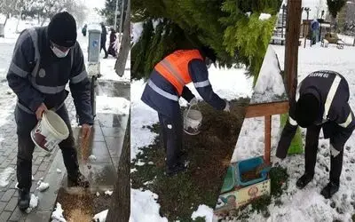 Doğaya kuşlar için yem, sokak hayvanları için mama
