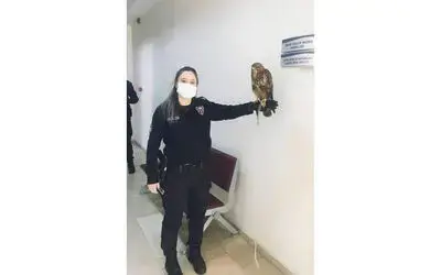Yaralı doğan yavrusu güvenli ellerde
