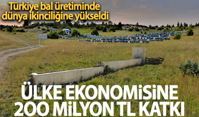 Bal ormanları ülke ekonomisine200 milyon TL katkı sağladı - Orman Genel Müdürlüğünce uygulanan "Bal Ormanları Eylem Planı" ile 77 bin 166 hektar ormanlık alanda 596 adet bal ormanı kurularak ülke ekonomisine yıllık 200 milyon TL katkı sağlandı.