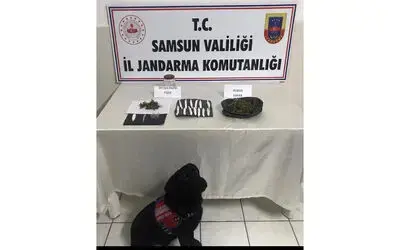 Jandarmadan uyuşturucuya geçit yok
