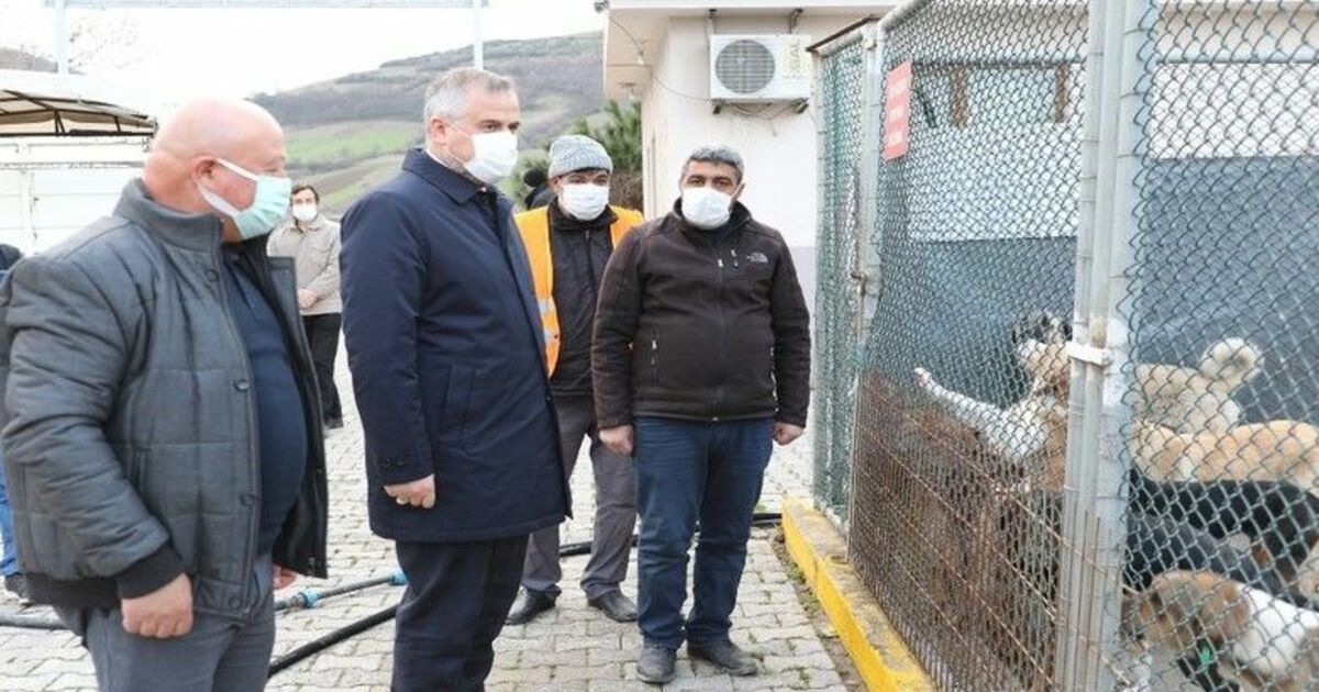 Kılıç: "Can dostlar için daha çok hassasiyet göstereceğiz"