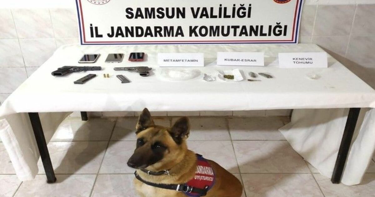 Jandarma zehir tacirlerine geçit vermiyor: 1 tutuklama, 1 adli kontrol