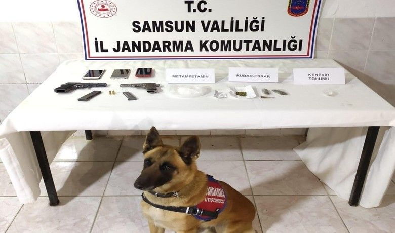 Jandarma zehir tacirlerine geçit vermiyor:1 tutuklama, 1 adli kontrol - Samsun’un Bafra ilçesinde jandarma ekiplerince bir eve yapılan baskında uyuşturucu ve ruhsatsız silah ele geçirildi.