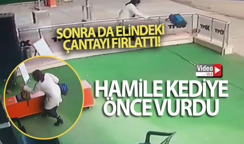 Başkent'te bir kadın hamile kediye öncevurdu sonra da elindeki çantayı fırlattı - Ankara'nın Keçiören ilçesinde dün öğle saatlerinde bir spor salonunun bahçesinde uyuyan hamile kediye sokaktan geçen bir kadın saldırdı. O anlar spor salonunun güvenlik kameralarına yansıdı.	Hırsını alamadı çanta fırlattı