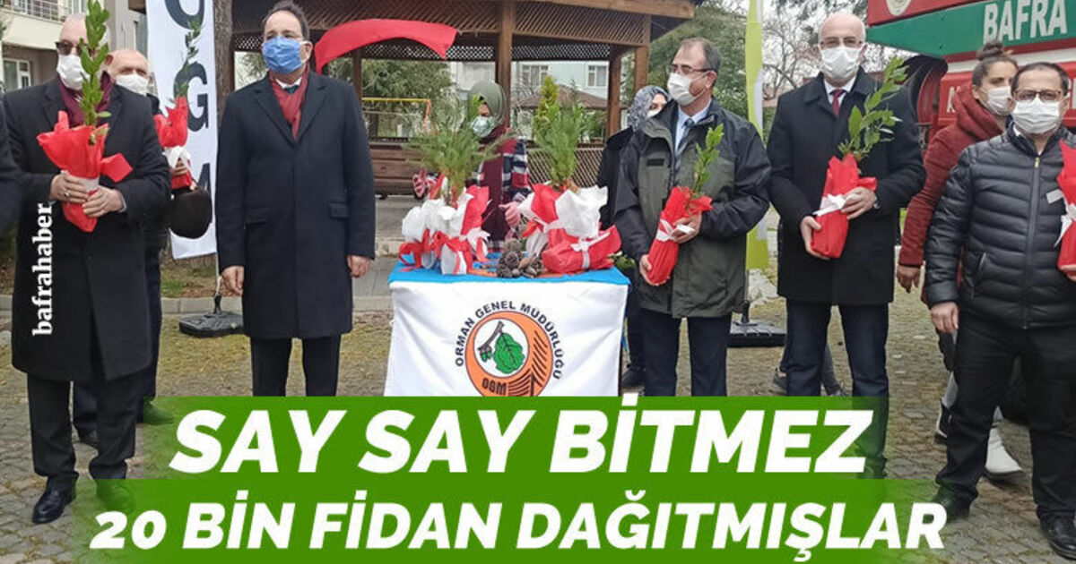 Bafra’da 20 bin fidan dağıtıldı