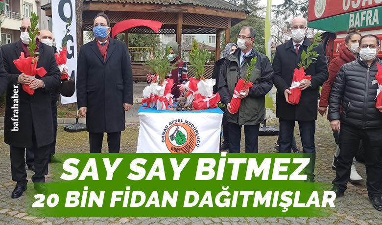 Bafra’da 20 bin fidan dağıtıldı - Samsun Bafra Orman İşletme Müdürlüğü’nce vatandaşlara 20 bin fidan dağıtıldı.