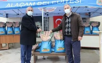 Samsun’da çiftçilere 12 bin kilogram silajlık mısır tohumu hibesi
