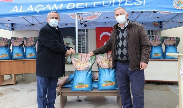 Samsun’da çiftçilere 12 binkilogram silajlık mısır tohumu hibesi - SAMSUN (İHA) – Samsun’da Mera Islah ve Amenajman Projesi kapsamında 4 bin 800 dekar arazide yetiştirilmek üzere 12 bin kilogram silajlık mısır tohumluğu temin edilerek çiftçilere hibe edildi. Samsun İl Tarım ve Orman Müdürlüğü tarafından hibe tohumların dağıtımına başlandı.