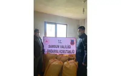 Çalınan 700 kilogram fındık ele geçirildi
