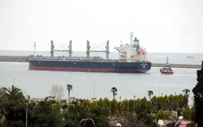 Samsun’da ihracat ve ithalat arttı
