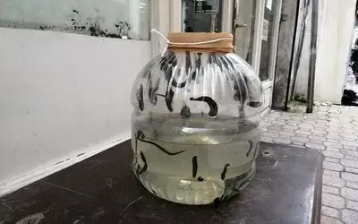 Tarihi çarşıda sülük satılıyor
