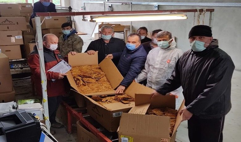 Alaçam’da tütün alımı başladı
 - Samsun’un Alaçam ilçesinde kırsal kesimde sözleşmeli olarak üretilen tütünün alımına başlandı.