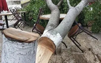 Çay ocağı işletmecisi bahçesindeki ağaç kesilince şikayetçi oldu
