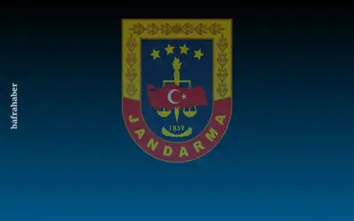 Vezirköprü'de 3 tarlada kaçak olarak ekili 140 bin 970 kök kenevir bitkisi ele geçirildi