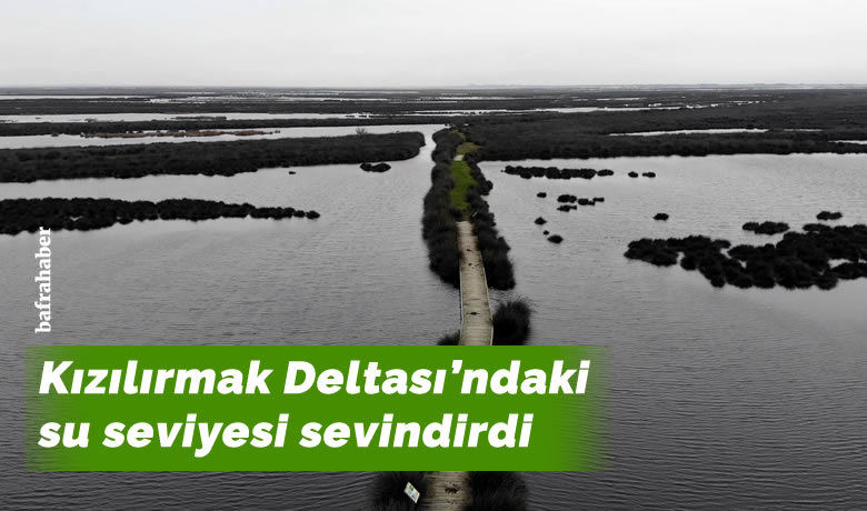Kızılırmak Deltası eski haline döndü - Yeterli yağış almadığı için sulak bölgeleri kuruyan Kızılırmak Deltası, Samsun’da son aylarda etkili olan kar ve yağmur yağışı sonrası suya kavuştu.