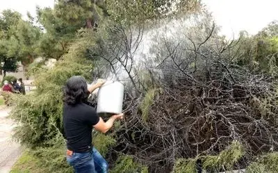 Güpegündüz ağacı yakıp kaçtı
