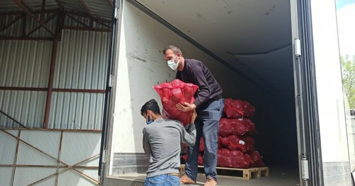 Bafra Ovası’ndan kışlık sebze ihracatı attı