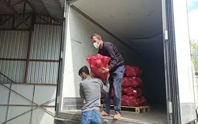 Bafra Ovası’ndan kışlık sebze ihracatı attı