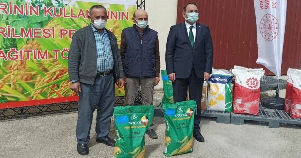 Bafra Ovası’nda çiftçilere tohum desteği
